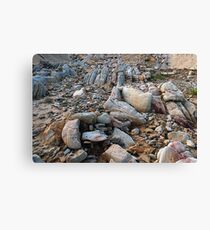 Just Rocks Canvas Print