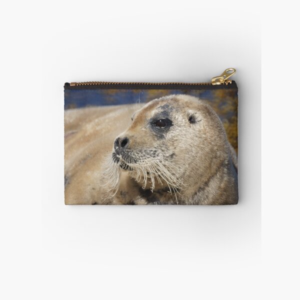 Item preview, Bearded seal designed and sold by Jean Knowles.