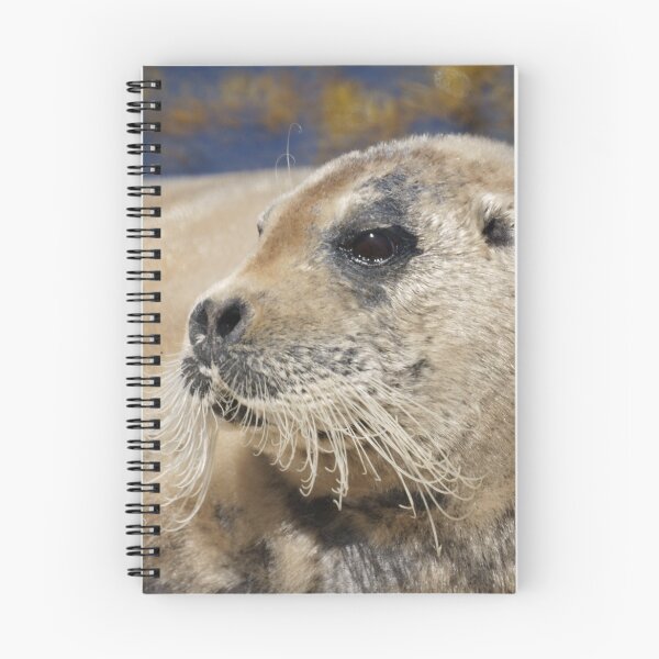 Item preview, Bearded seal designed and sold by Jean Knowles.