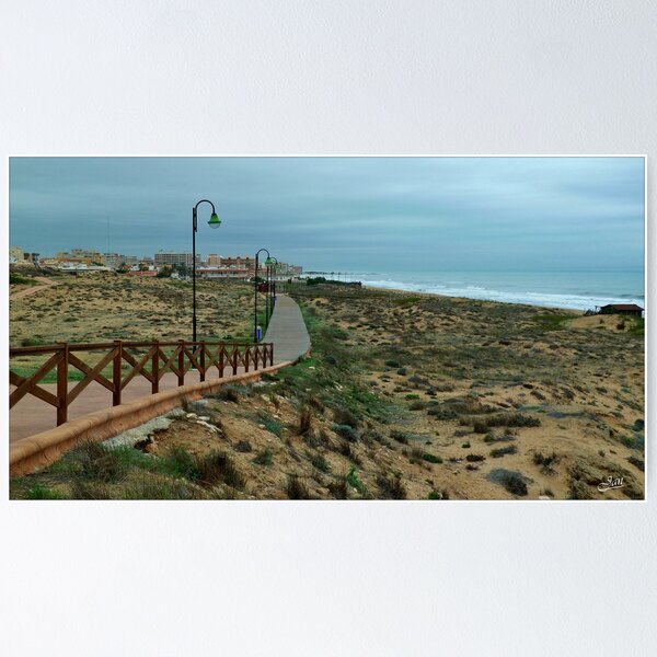 Item preview, Dunes of La Mata designed and sold by Janone.