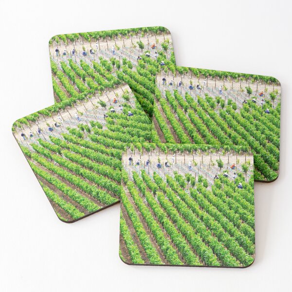 Item preview, Vineyard times - Far Niente Napa Valley designed and sold by Audrey Krüger.