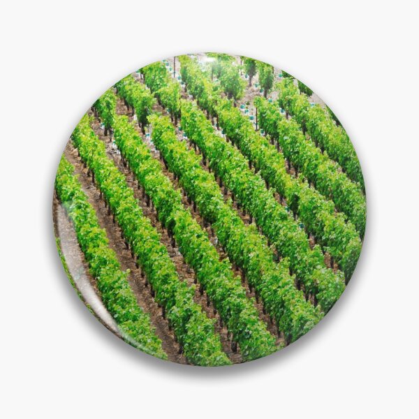 Item preview, Vineyard times - Far Niente Napa Valley designed and sold by Audrey Krüger.