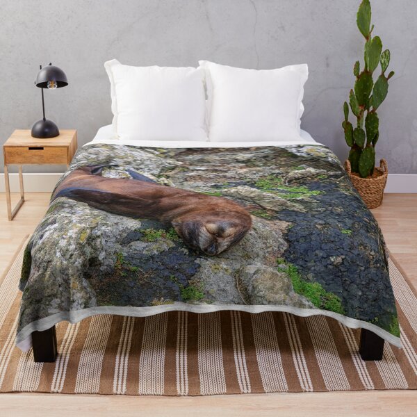 Item preview, Fur seal on rocks designed and sold by Photopat.
