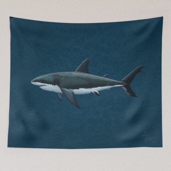 Item preview, Carcharodon carcharias by Amber Marine, great white shark illustration, art © 2015 designed and sold by Amber Marine ~ Wildlife Artist ~ © 2004-2021.