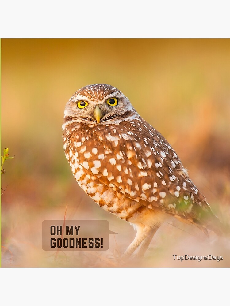 oh-my-goodness-poster-for-sale-by-topdesignsdays-redbubble