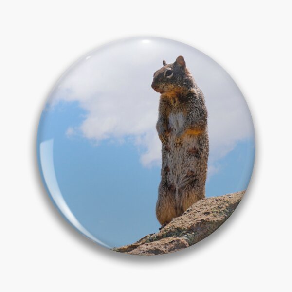 Item preview, A Mama Squirrel on the Lookout designed and sold by MomentofPercep.