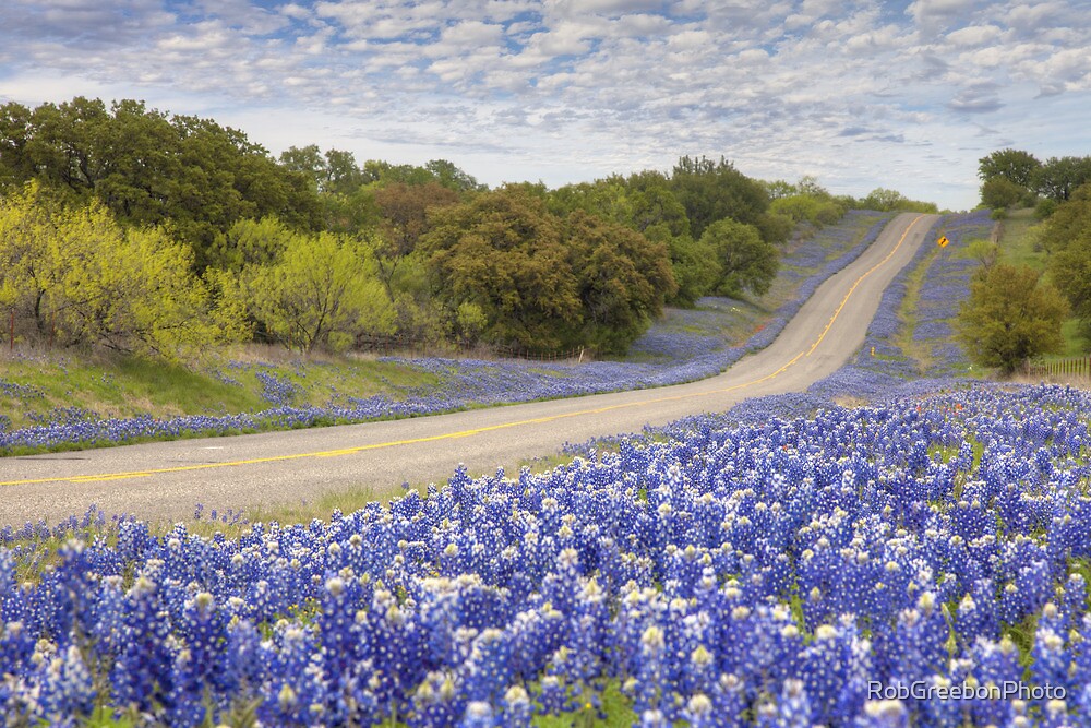 Bluebonnet Highway | Go Camping America