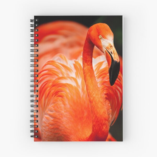 Item preview, Flamingo Fire designed and sold by naturaleva.