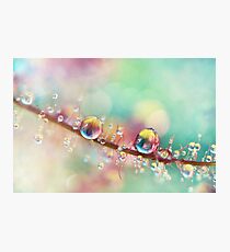 Rainbow Smoke Drops Photographic Print