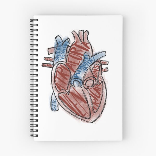Item preview, Labeled Heart designed and sold by Kaydee Mick.