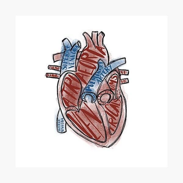 Item preview, Labeled Heart designed and sold by Kaydee Mick.