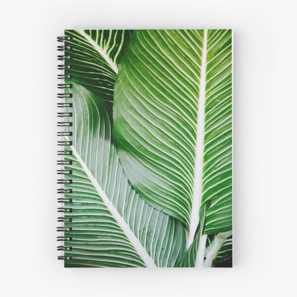 Item preview, Palm leave photography designed and sold by Dutch-Design.