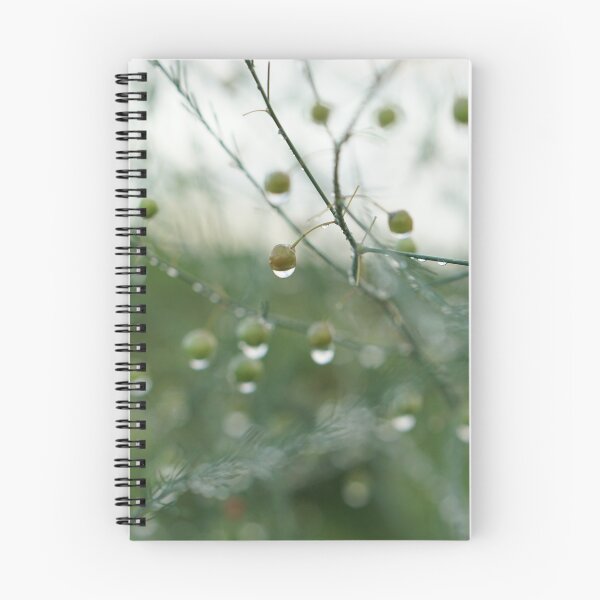 Item preview, rainy camp designed and sold by distracted.