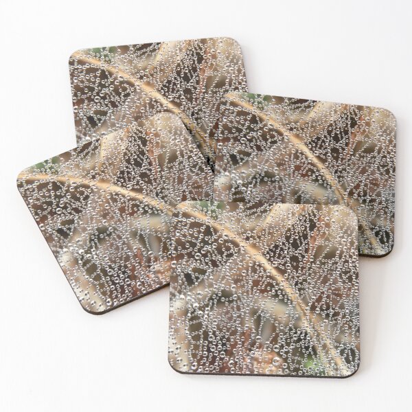 Item preview, Dewdrops On Spiderweb Brown designed and sold by Sk8Legged.