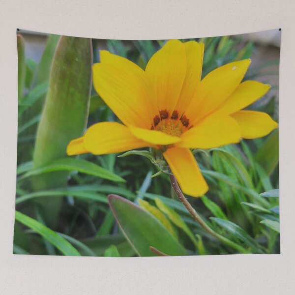 Item preview, Wild flower ?  designed and sold by noorgss92.