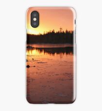 One year ends; another begins iPhone Case