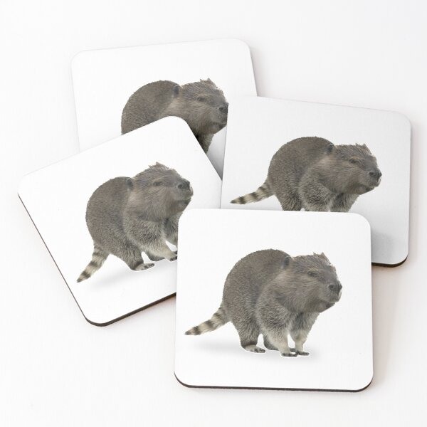 Item preview, Beavcoon designed and sold by Simon Hol.