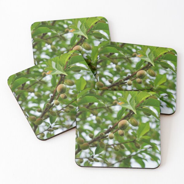 Item preview, growing peaches designed and sold by distracted.