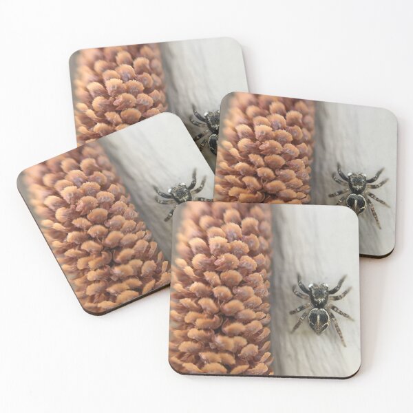 Item preview, Twin Flagged Jumping Spider Pine Cone designed and sold by Sk8Legged.