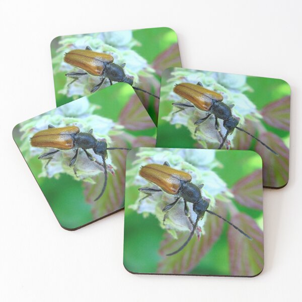 Item preview, Beetle designed and sold by Sharon Perrett.