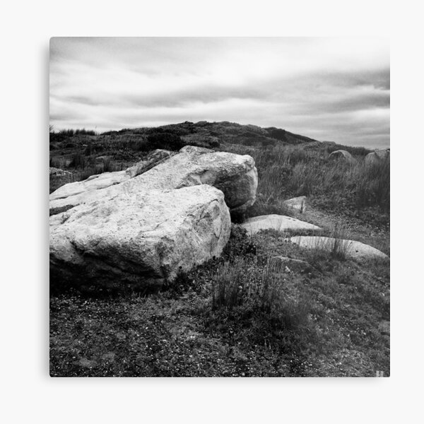 Untitled Metal Print