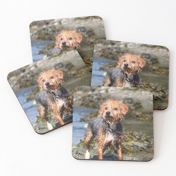 Item preview, Wet dog designed and sold by GreyFeatherPhot.