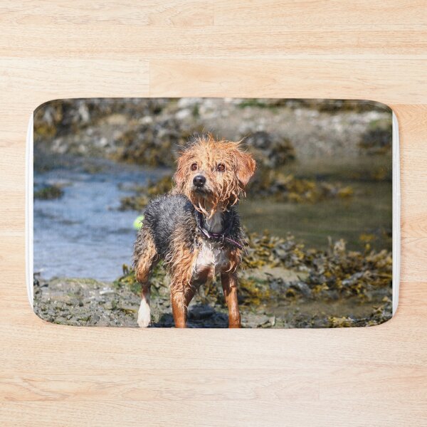 Item preview, Wet dog designed and sold by GreyFeatherPhot.