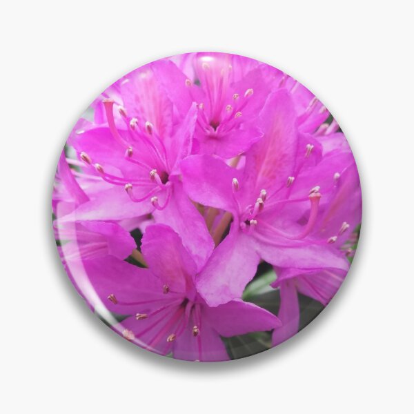 Item preview, Pink purple rhododendron flower photograph designed and sold by esvb.