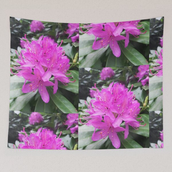 Item preview, Pink purple rhododendron flower photograph designed and sold by esvb.