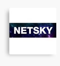 NETSKY Canvas Print