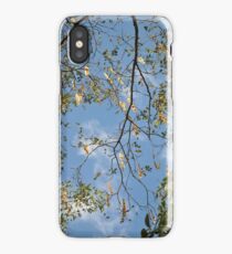 Nature iPhone Case/Skin