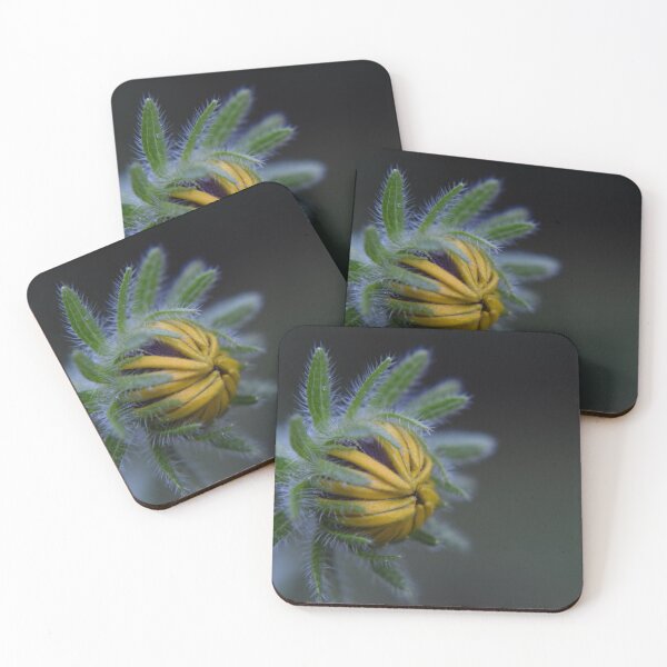 Item preview, Brote de verano designed and sold by Tonia Delozier's Photography .