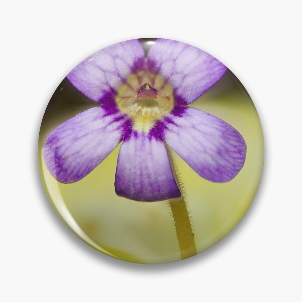 Item preview, Butterwort Flower designed and sold by Richard Allen.