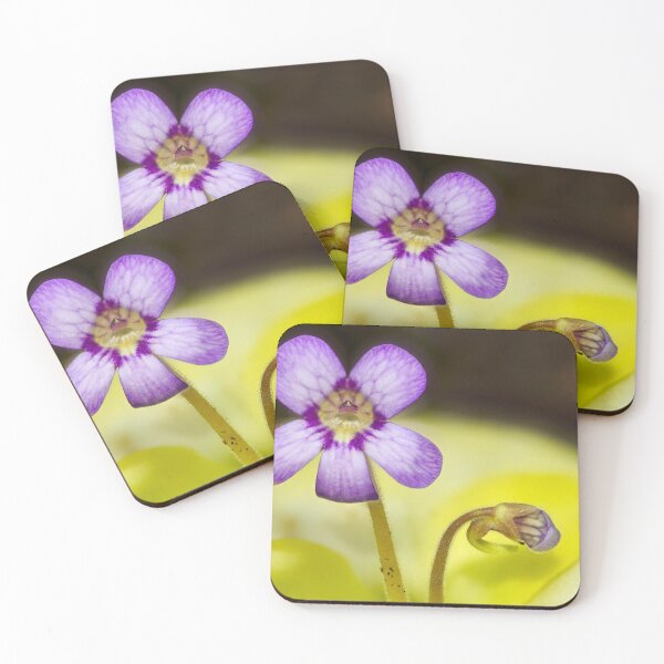 Item preview, Butterwort Flower designed and sold by Richard Allen.