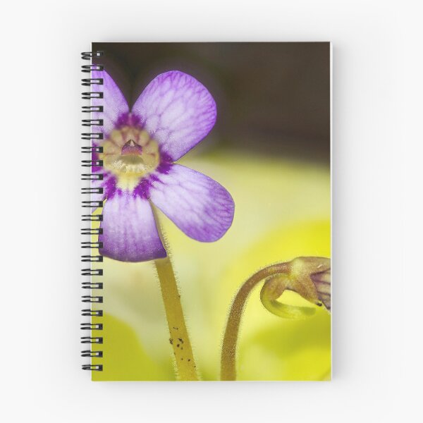 Item preview, Butterwort Flower designed and sold by Richard Allen.