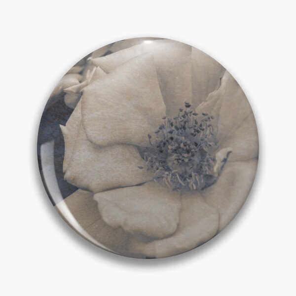 Item preview, Old Roses designed and sold by DVJPhotography.