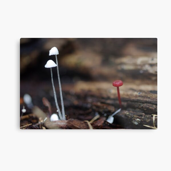 The Other Metal Print