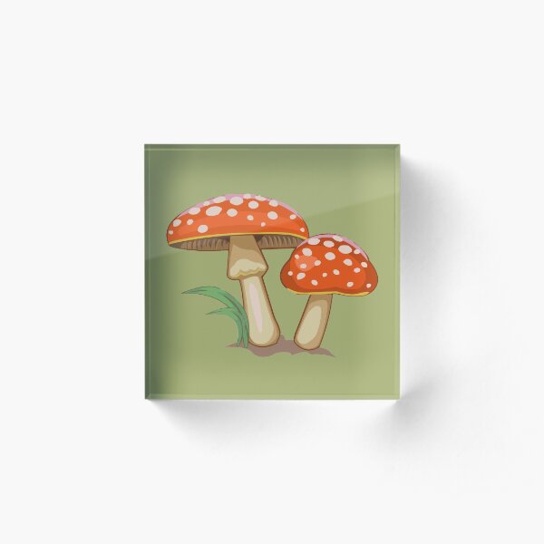 Magical Toadstool Acrylic Block