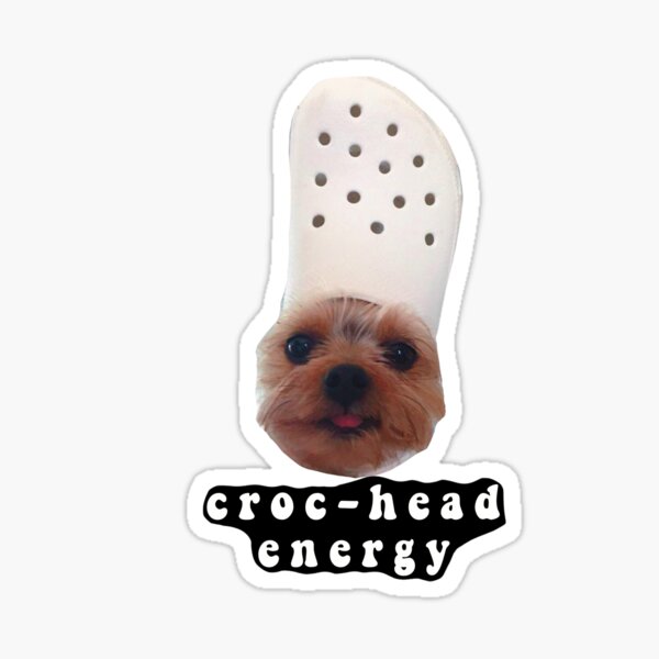 crocs on dogs head