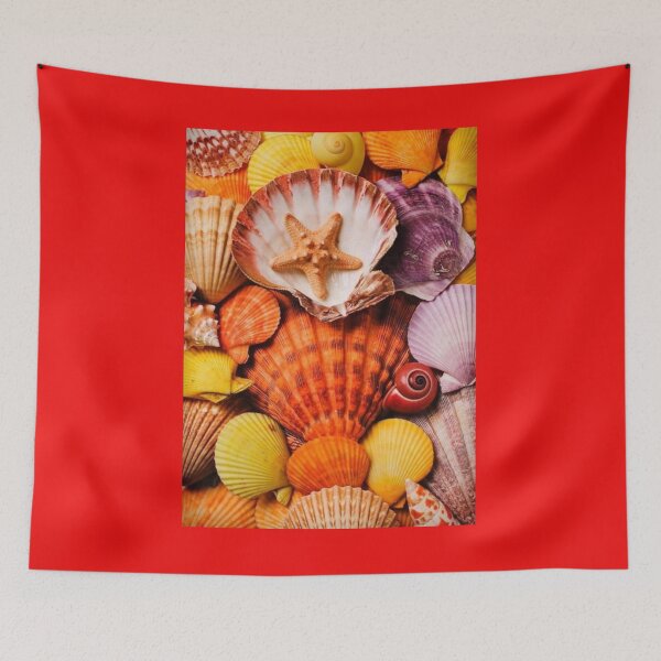 Item preview, shells designed and sold by chedy2008.