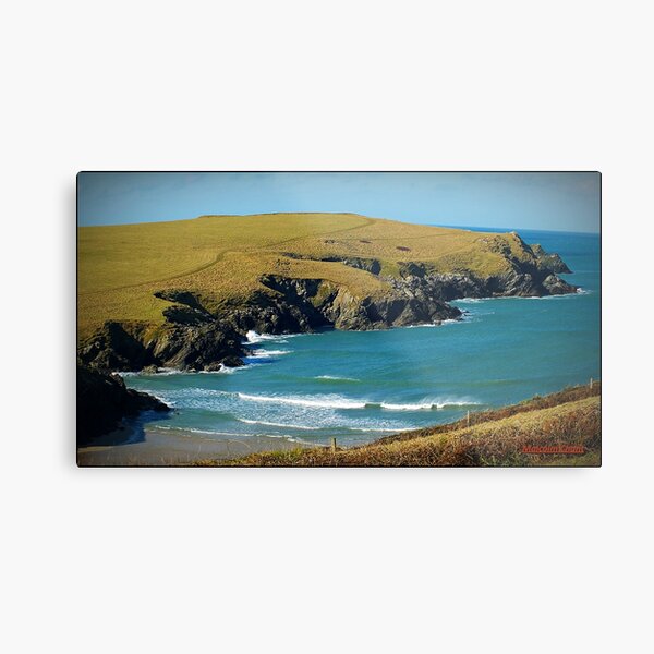 " Polly Joke" Metal Print
