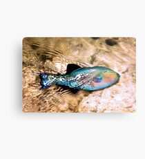 Tropical Fish Metal Print