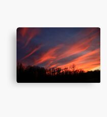Streaking Across The Sky Canvas Print
