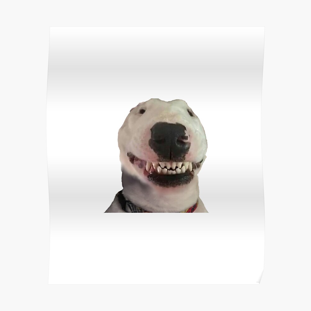 Walter smiling meme dog