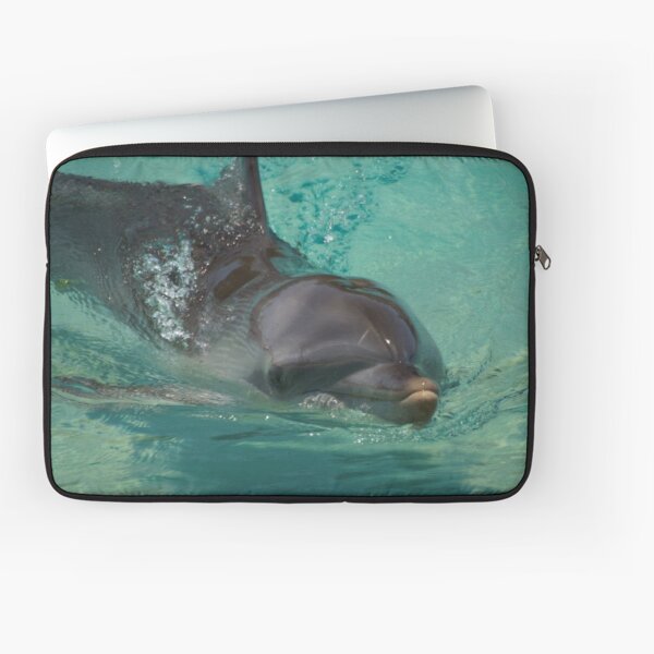 The Dolphin Laptop Sleeve
