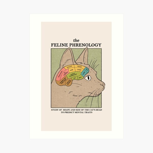 The Feline Phrenology Art Print