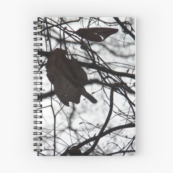Item preview, Clinging to what is already gone designed and sold by Jaeda DeWalt.