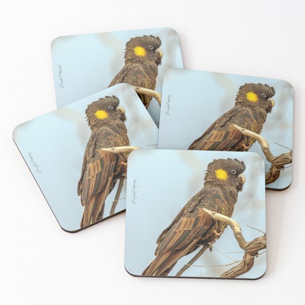 Item preview, Yellow-Tail Black Cockatoo designed and sold by Luke Foster.