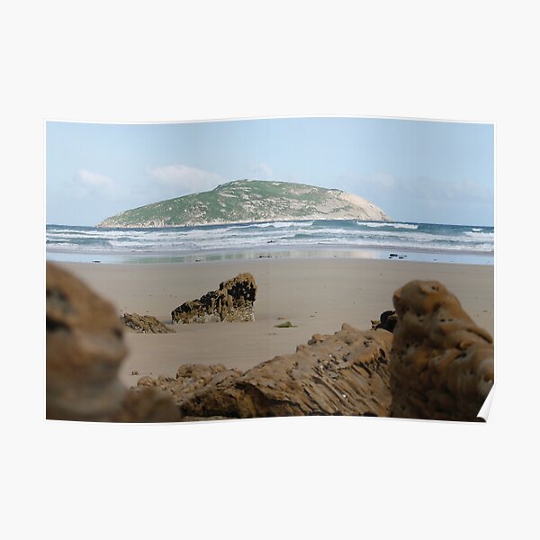 Shellback Island Poster