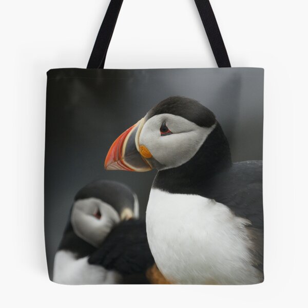 Item preview, Atlantic puffins at rest designed and sold by Jean Knowles.